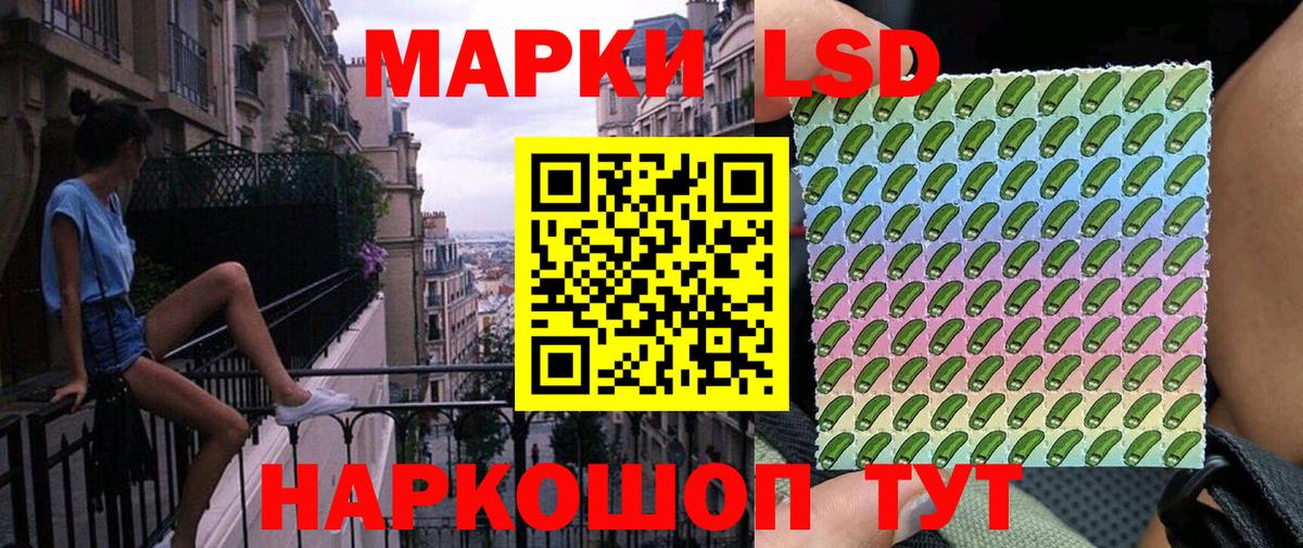 хочу   Наркотические марки 1500мкг  Вход с VPN  Наркотические марки 1500мкг  Скопин 